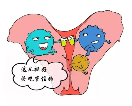 子宫肌瘤与子宫癌有何区别?